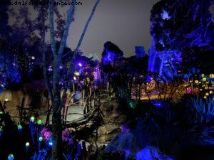 Animal Kingdom - Walt Disney World