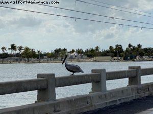 Driving from Key West to Miami