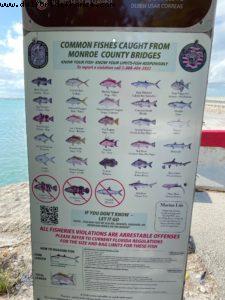 Driving from Key West to Miami