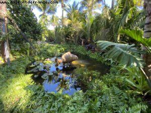 The Raleigh Garden Expo - Miami Beach