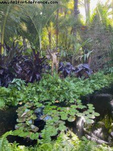 The Raleigh Garden Expo - Miami Beach