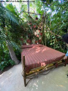 The Raleigh Garden Expo - Miami Beach