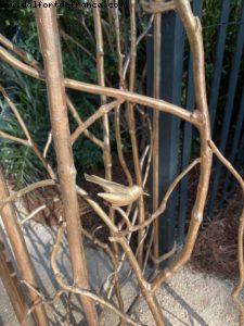 The Raleigh Garden Expo - Miami Beach