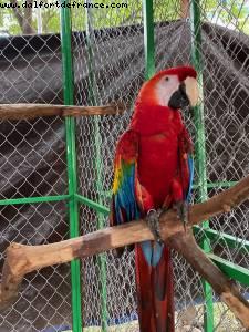 Puerto Vallarta - Our 74th Atlantis cruise (Celebrity Eclipse)