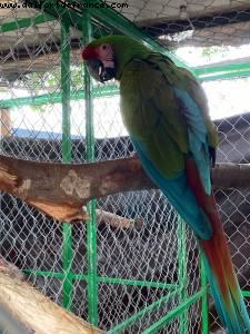 Puerto Vallarta - Our 74th Atlantis cruise (Celebrity Eclipse)