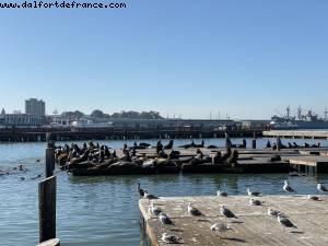 San Francisco, California 