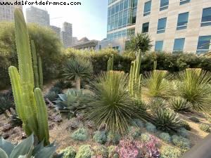 Salesforce Park - San Francisco, California 