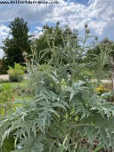 Dubreuil school gardens & Arboretum - Bois de Vincennes - Walk Around -After the big Covid lockdown - Paris, France 