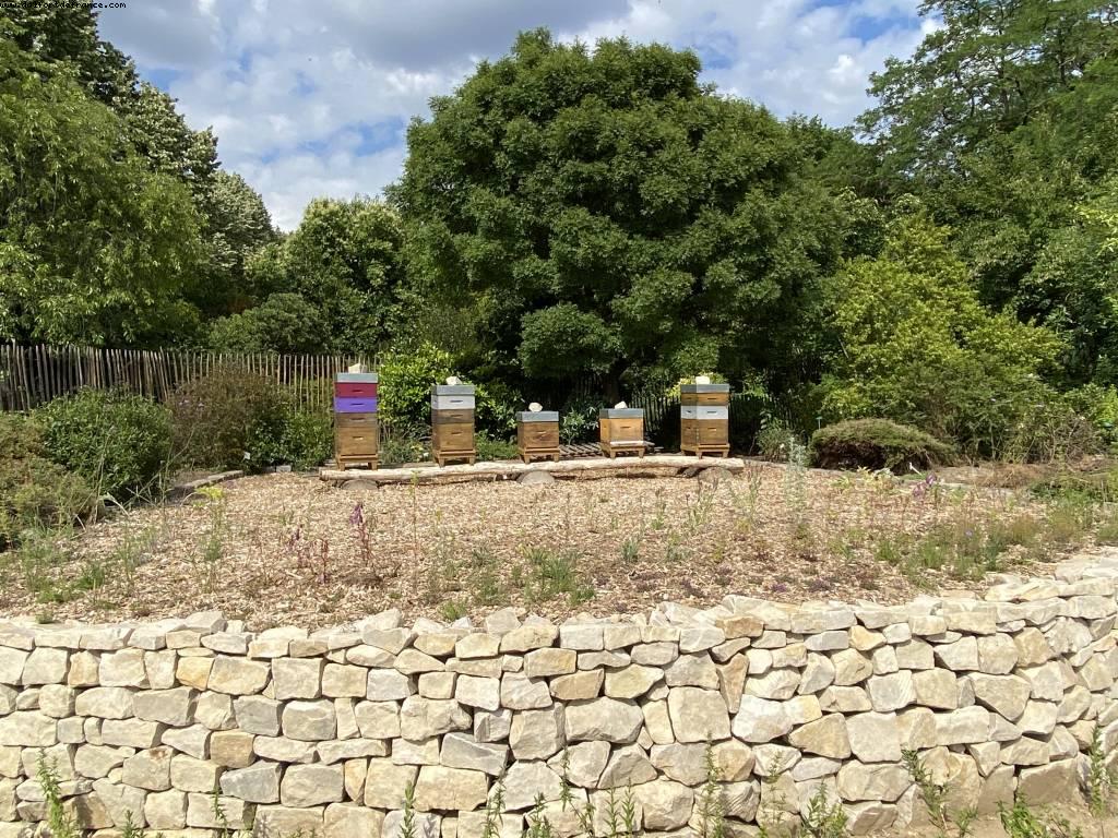 Dubreuil school gardens & Arboretum - Bois de Vincennes - Walk Around -After the big Covid lockdown - Paris, France 