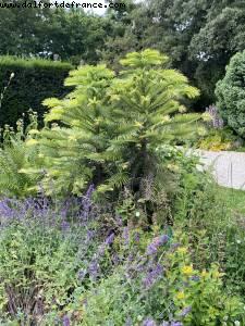 Dubreuil school gardens & Arboretum - Bois de Vincennes - Walk Around -After the big Covid lockdown - Paris, France 