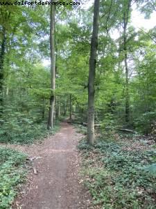 Bois de Vincennes - Walk Around -After the big Covid lockdown - Paris, France 