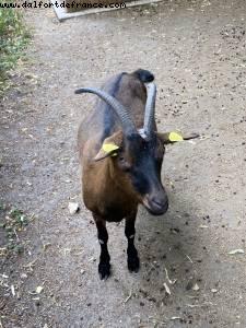 Maisons-Alfort Farm - Paris Est Marne & Bois (T10) - Walking Around -After the big Covid lockdown - Paris, France 