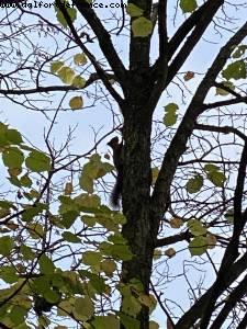 Bois de Vincennes - Paris, France