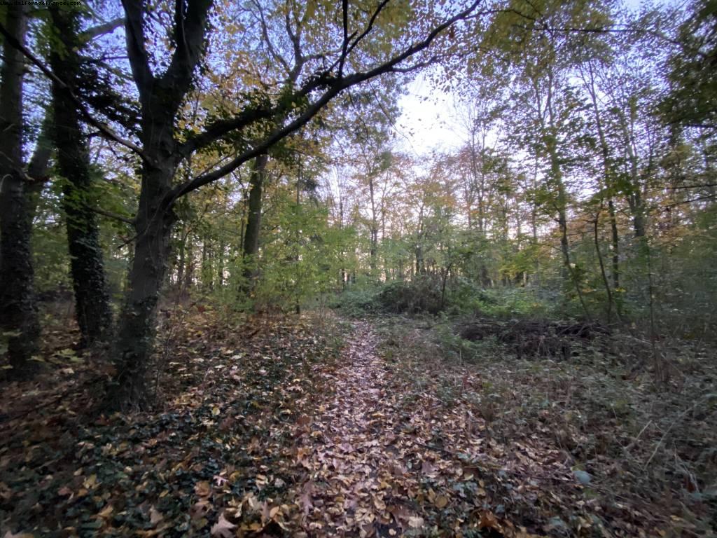 Bois de Vincennes - Paris, France