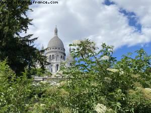 Montmartre - Walking around -After the big Covid lockdown - Paris, France (May 2020)