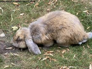 Maisons-Alfort Farm - Paris Est Marne & Bois (T10) - Walking Around -After the big Covid lockdown - Paris, France 