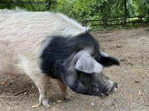 Maisons-Alfort Farm - Paris Est Marne & Bois (T10) - Walking Around -After the big Covid lockdown - Paris, France 