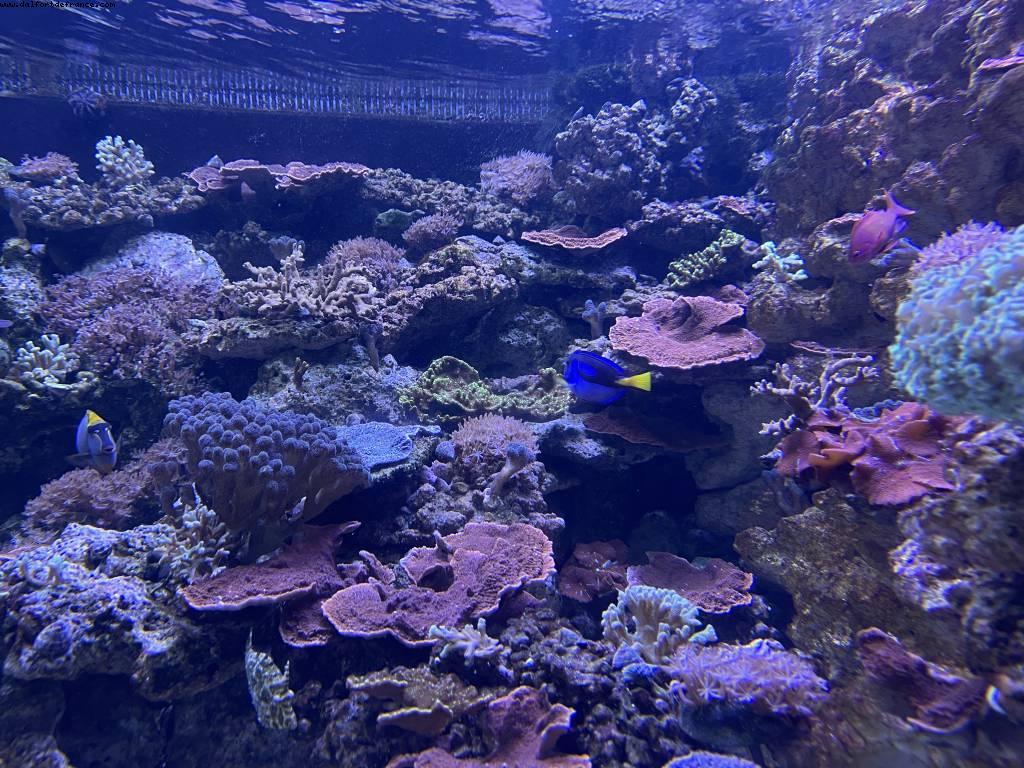 Zoo de Vincennes - Paris, France 