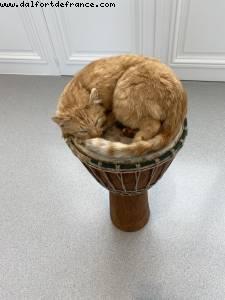 La Bourse de Commerce - Pinault Collection - Paris, France 