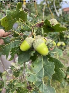Châteaumeillant, France