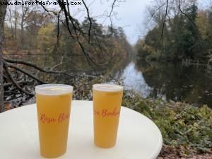 Rosa bonheur - Chalet de la porte jaune - Bois de Vincennes- Paris, France