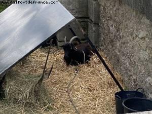 Tuileries Garden - Paris, France 