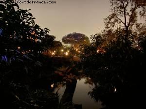 Lockdown #2 - Last hours before closing - Disneyland Paris, France