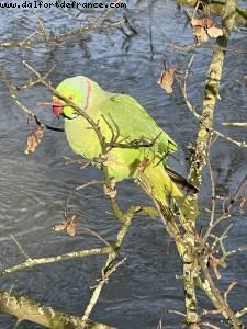 Maisons-Alfort, France
