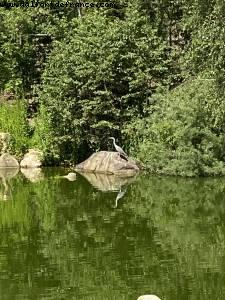 After lockdown Reopening - Disneyland Paris, France 