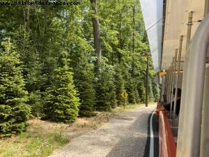 After lockdown Reopening - Disneyland Paris, France 
