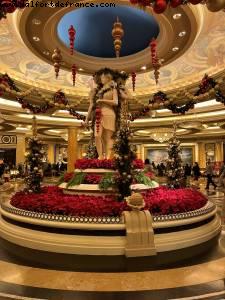 Hotel Caesar's Palace - Las Vegas, Nevada