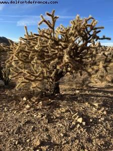 Driving in the desert from Palm Springs to Las Vegas