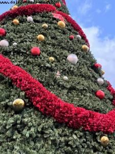 Earl's Christmas tree - Universal Studios - Orlando, Florida