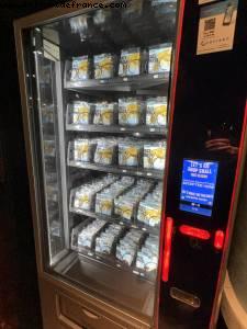 Walking between Hollywood Studios and the Dolphin Hotel - Walt Disney World - Orlando, Florida