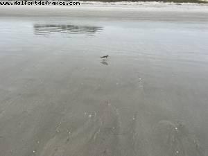 Cocoa Beach, Florida