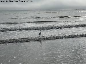 Cocoa Beach, Florida
