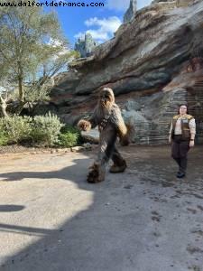 Galaxy's Edge - Hollywood Studios - Walt Disney World - Orlando, Florida