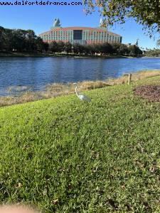 Boardwalk Area - Walt Disney World - Orlando, Florida
