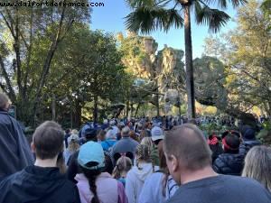 Hotel Early opening - Avatar - Animal Kingdom - Walt Disney World- Orlando, Florida