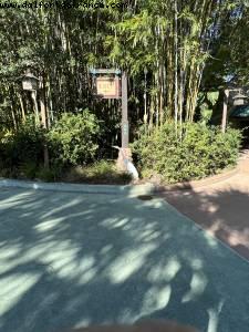 Animal Kingdom - Walt Disney World- Orlando, Florida