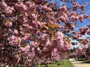 Parc de Sceaux - Sceaux, France