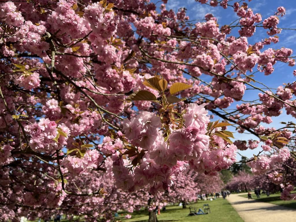 Parc de Sceaux - Sceaux, France