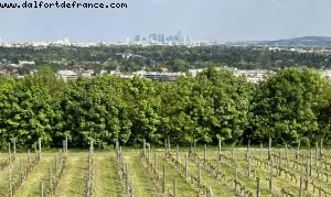 Vue sur La Defense - St Germain en Laye castle, France