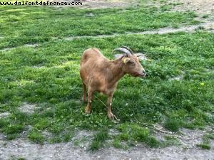 Parc de Corbiere - Le Pecq, France
