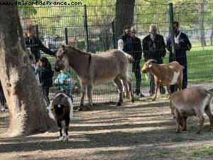 Parc de Corbiere - Le Pecq, France