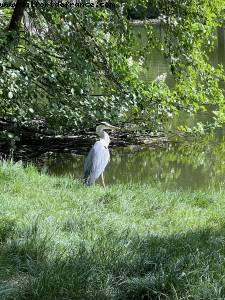 Bois de Vincennes - Paris, France