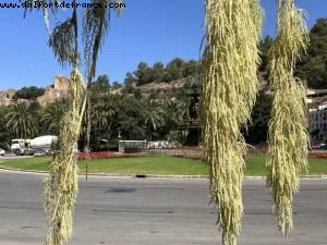 Malaga, Spain - Atlantis Spanish med cruise