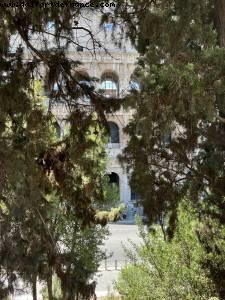 Coliseum - Rome, Italy