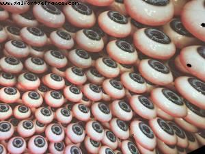 Happy Birthday Rich! - Alchemist Restaurant - Copenhagen, Denmark