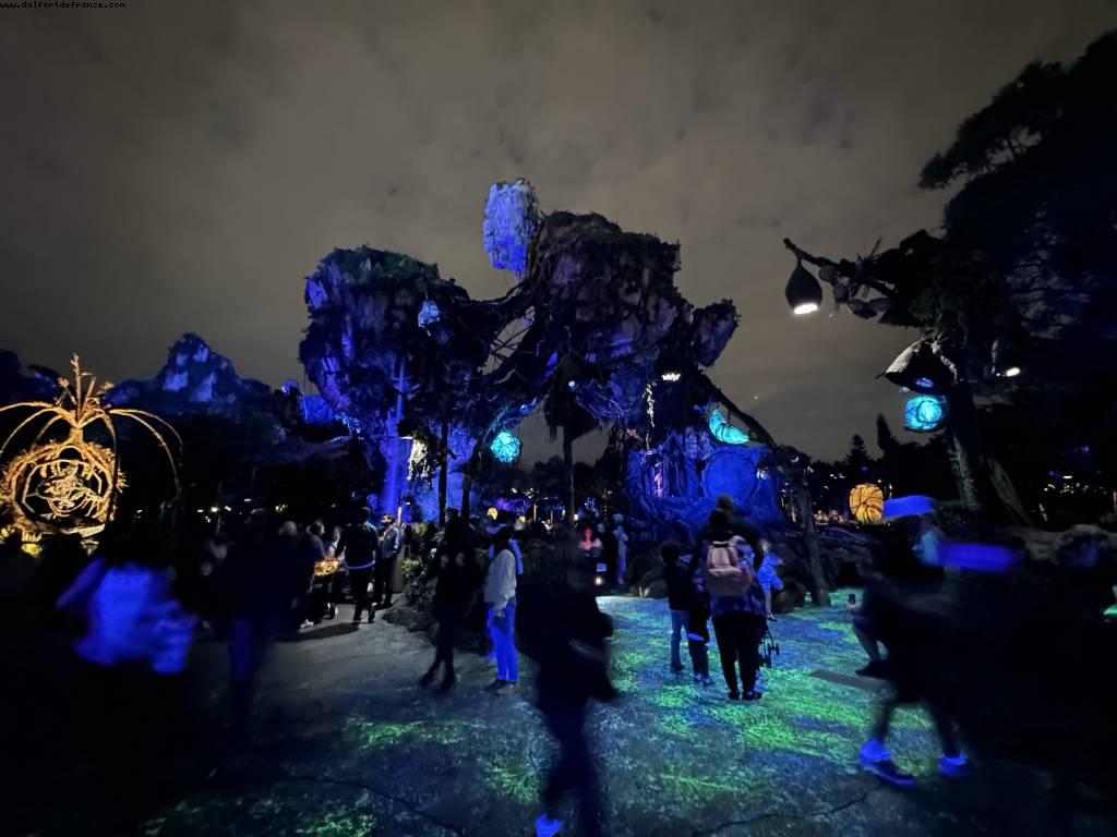 Pandora, Animal Kingdom - , Walt Disney World